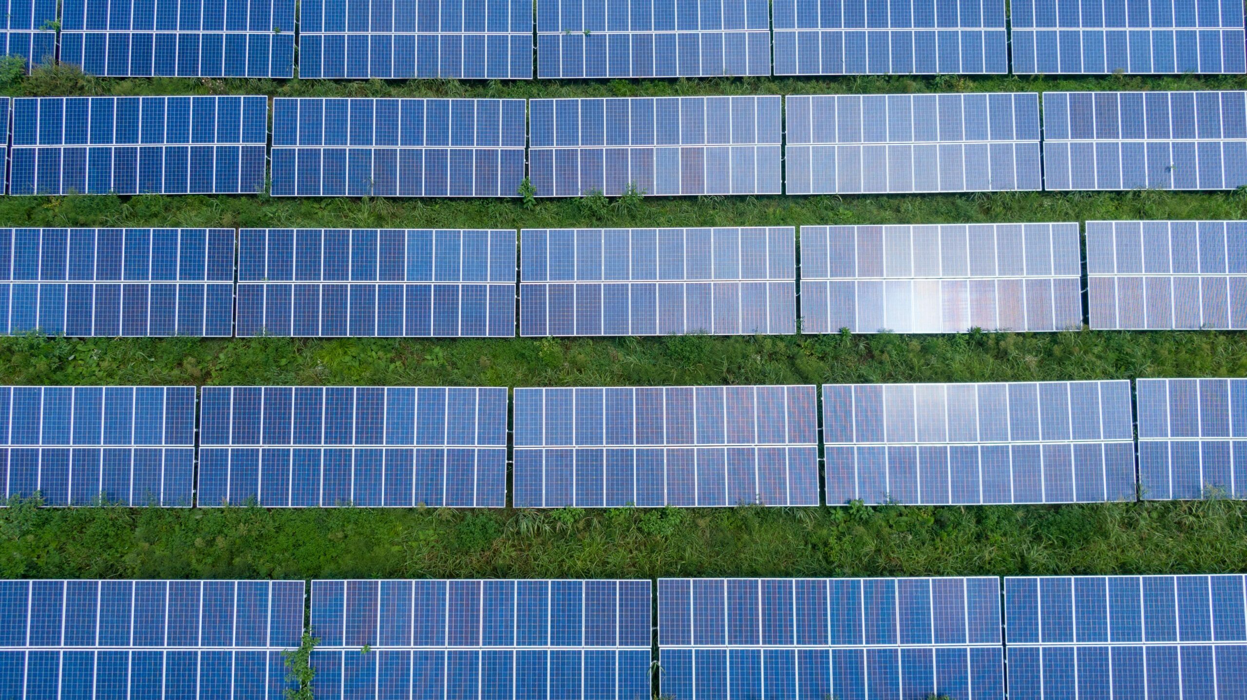 Rows of solar panels on grassy background reflecting the sun