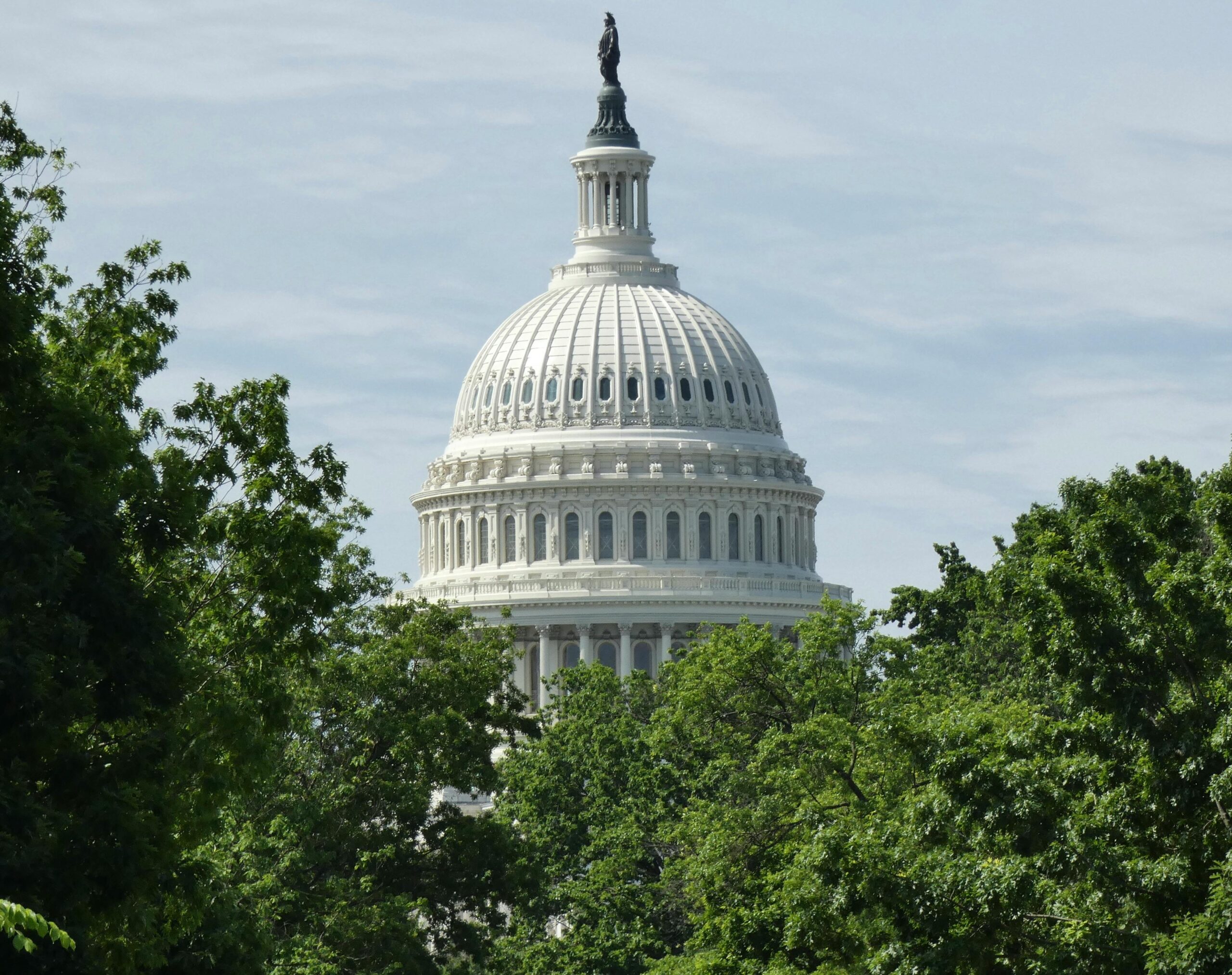 United States Capitol in summer